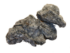Dacryoides peruviana (Copal)