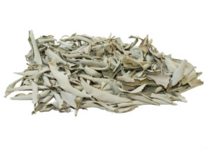 Salvia apiana (White Sage)